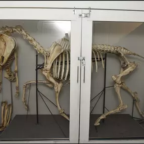 Bild von Gage Academy of Art