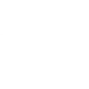 Bild von Aroos Flowers