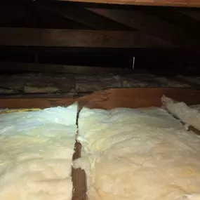 Bild von Newhaus Roofing & Construction
