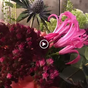 Bild von Cote Fleurs