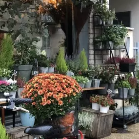 Bild von Cote Fleurs