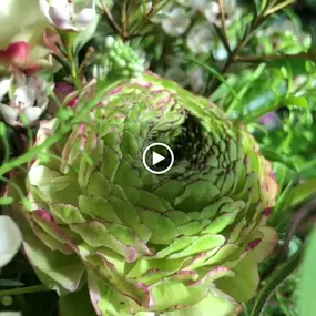Bild von Cote Fleurs