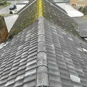 Bild von Scotts Elite Ltd