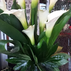 We know you are there for them during difficult times, here is a way to show your Sincere condolences.