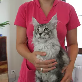 Bild von ZeVet - Cabinet vétérinaire