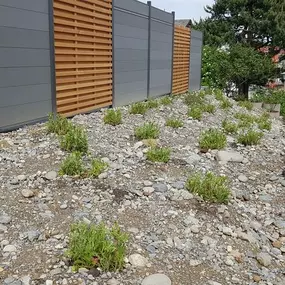 Bild von BRÜHWILER-GARTENBAU, BAUMPFLEGE