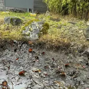 Bild von BRÜHWILER-GARTENBAU, BAUMPFLEGE