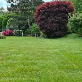 Bild von BRÜHWILER-GARTENBAU, BAUMPFLEGE