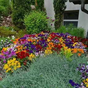 Bild von BRÜHWILER-GARTENBAU, BAUMPFLEGE