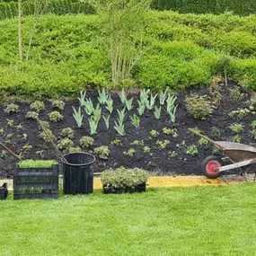 Bild von BRÜHWILER-GARTENBAU, BAUMPFLEGE