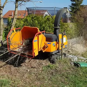Bild von BRÜHWILER-GARTENBAU, BAUMPFLEGE