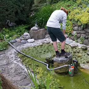 Bild von BRÜHWILER-GARTENBAU, BAUMPFLEGE