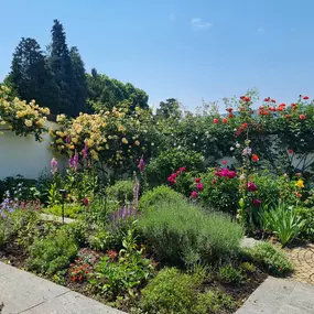 Bild von BRÜHWILER-GARTENBAU, BAUMPFLEGE