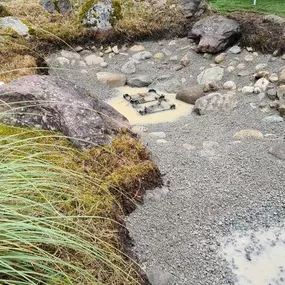 Bild von BRÜHWILER-GARTENBAU, BAUMPFLEGE