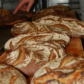 Bild von Brotbackkurse Walzel