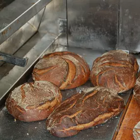 Bild von Brotbackkurse Walzel