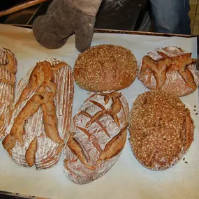 Bild von Brotbackkurse Walzel
