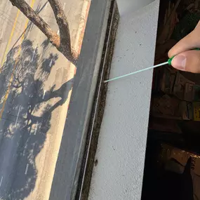 Bild von 24H Mold Inspection of Collin County