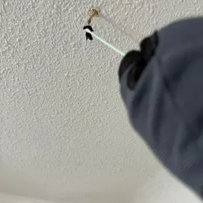 Bild von 24H Mold Inspection of Collin County