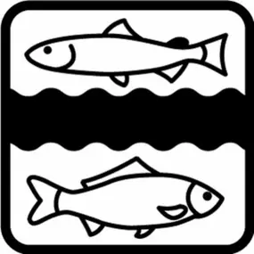 Bild von Erzgebirgs-Fisch GbR