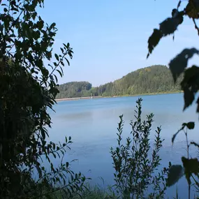 Bild von Erzgebirgs-Fisch GbR