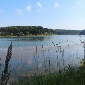 Bild von Erzgebirgs-Fisch GbR