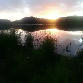 Bild von Erzgebirgs-Fisch GbR