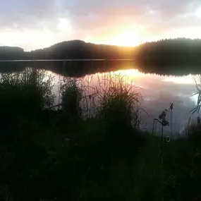 Bild von Erzgebirgs-Fisch GbR