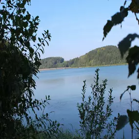 Bild von Erzgebirgs-Fisch GbR