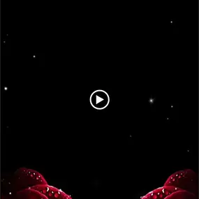 Bild von Oneenergy Tienda