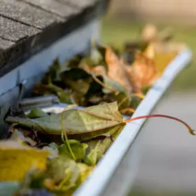 Bild von Lück Bedachung Dachdeckermeister Marvin Lück