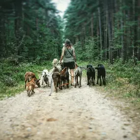 Bild von Doglife