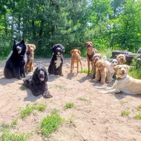 Bild von Doglife