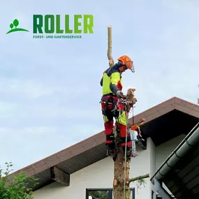 Bild von Forst- und Gartenservice Roller