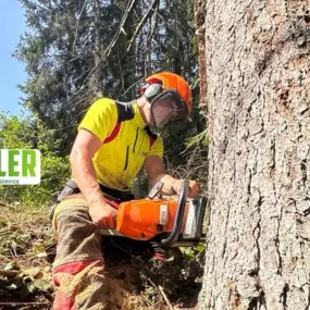 Bild von Forst- und Gartenservice Roller