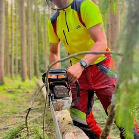 Bild von Forst- und Gartenservice Roller