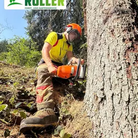 Bild von Forst- und Gartenservice Roller