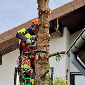Bild von Forst- und Gartenservice Roller