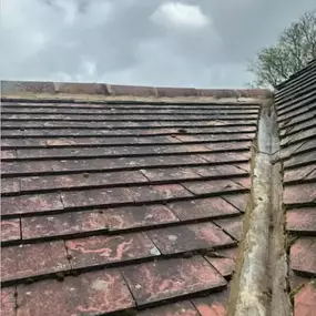 Bild von Dynamic Roofing and Building Ltd