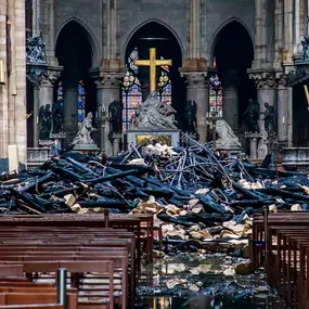 Bild von Sachverständiger Köln