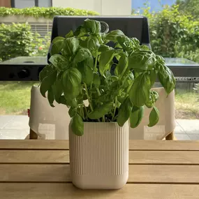 Bild von FAST LAYER VARIUS