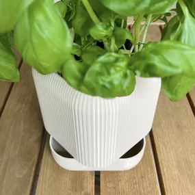 Bild von FAST LAYER VARIUS