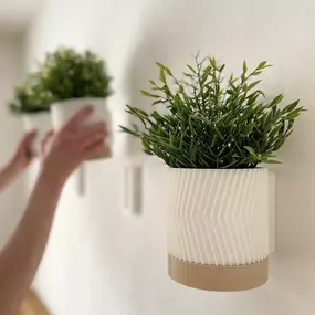 Bild von FAST LAYER VARIUS