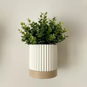 Bild von FAST LAYER VARIUS