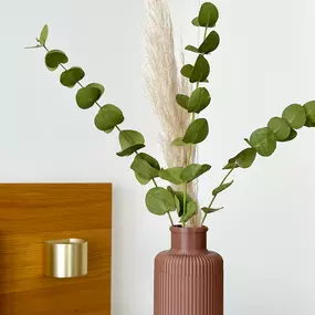 Bild von FAST LAYER VARIUS