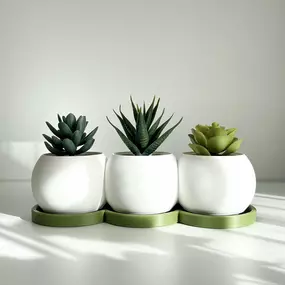 Bild von FAST LAYER VARIUS