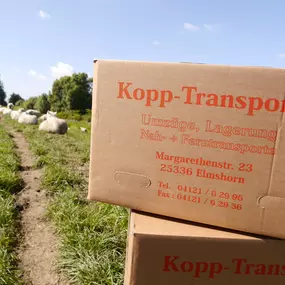 Bild von Kopp-Transporte - Umzüge und Kleintransporte