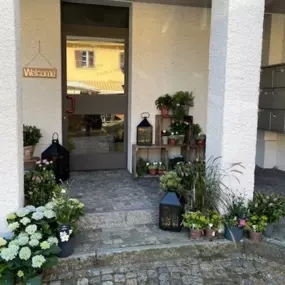 Bild von Martin's Blumenwelt