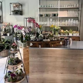 Bild von Martin's Blumenwelt