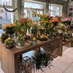 Bild von Martin's Blumenwelt